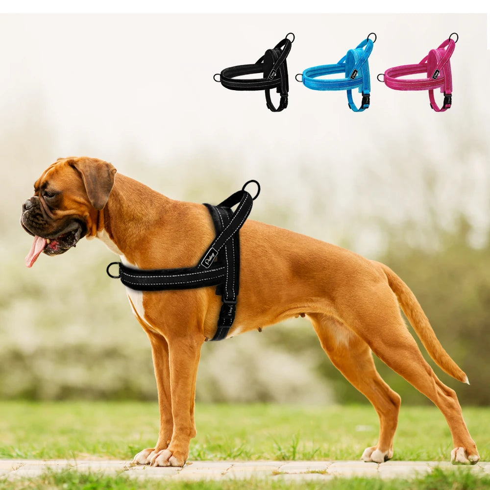 Harnais Anti-Traction pour Chien - Confortable et Réfléchissant