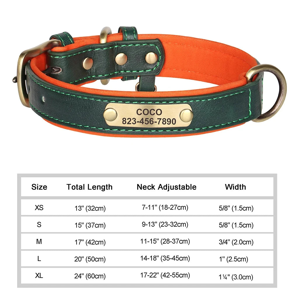 Collier pour Chien Personnalisé en Cuir - Plaque Gravée avec Nom et Numéro