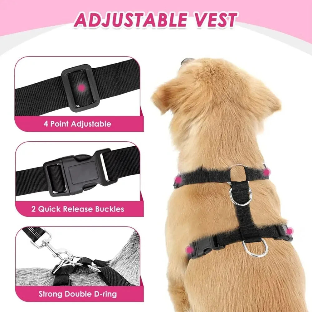 Harnais et Ceinture de Sécurité Voiture pour Chien