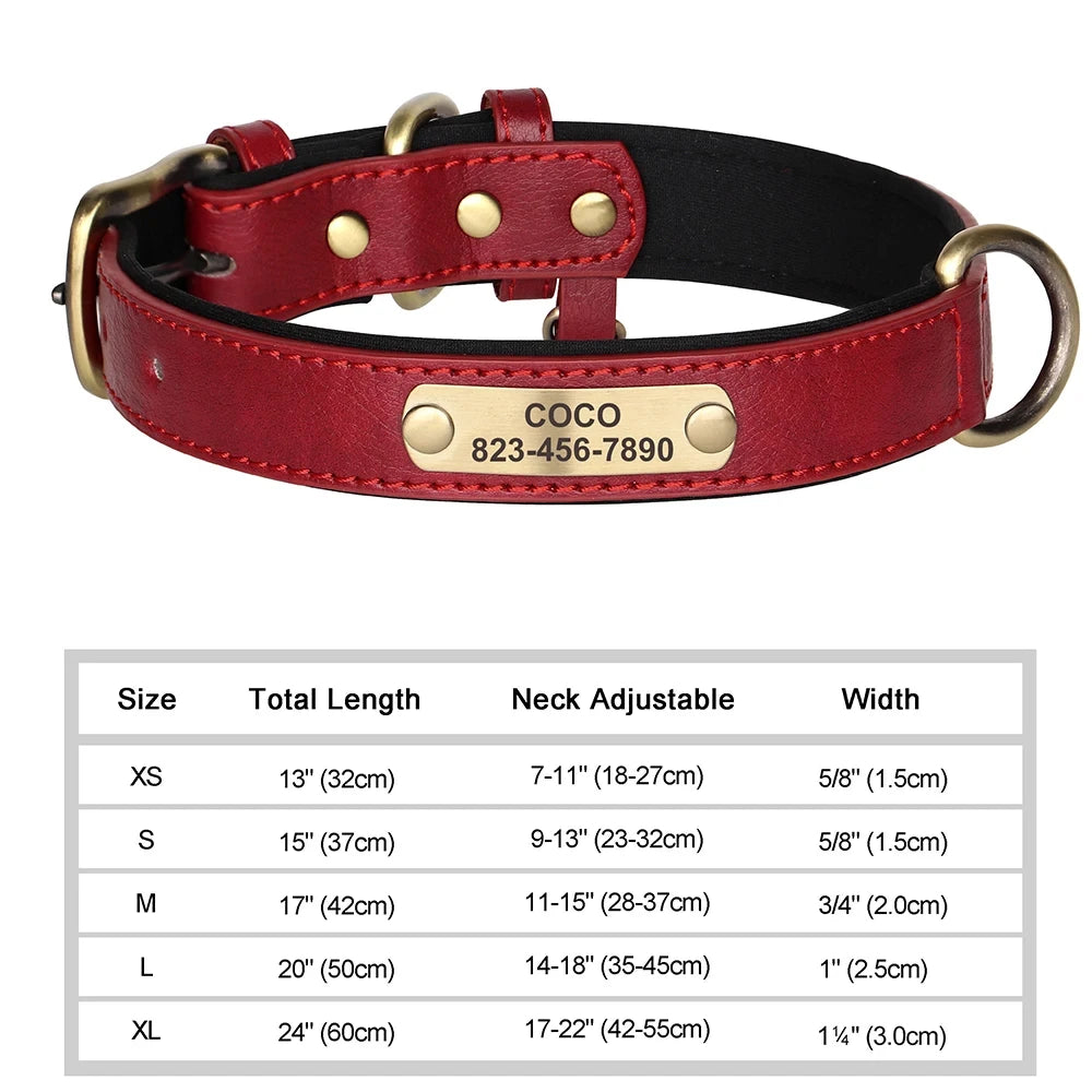 Collier pour Chien Personnalisé en Cuir - Plaque Gravée avec Nom et Numéro