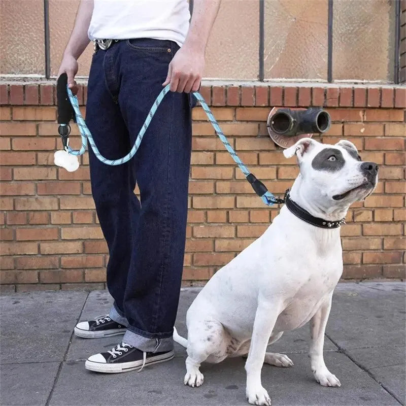 Laisse pour Chien Réfléchissante - Poignée Rembourrée Confortable