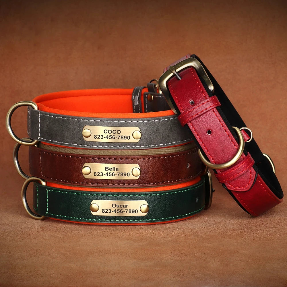 Collier pour Chien Personnalisé en Cuir - Plaque Gravée avec Nom et Numéro
