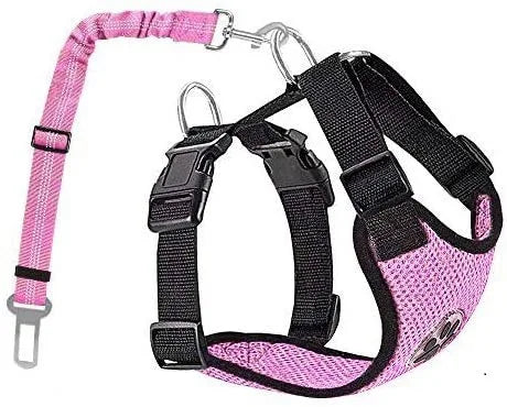 Harnais et Ceinture de Sécurité Voiture pour Chien
