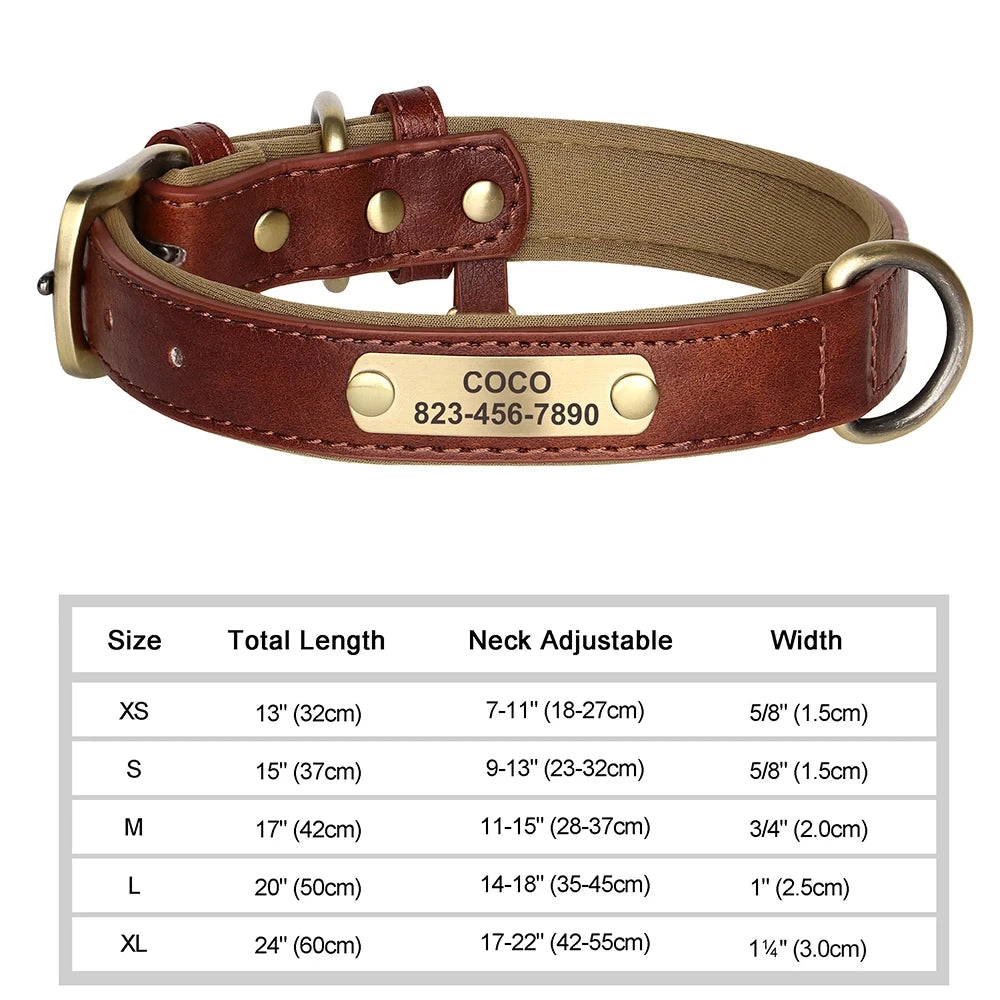 Collier pour Chien Personnalisé en Cuir - Plaque Gravée avec Nom et Numéro