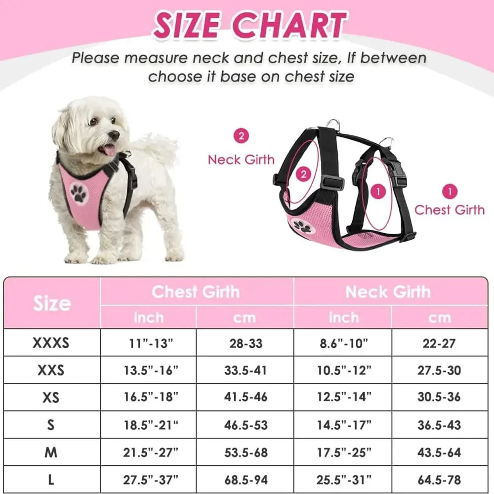 Harnais et Ceinture de Sécurité Voiture pour Chien