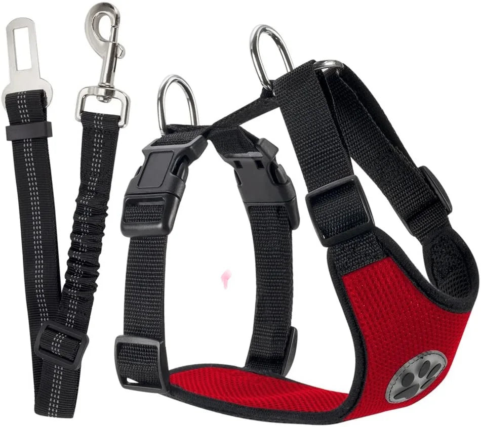 Harnais et Ceinture de Sécurité Voiture pour Chien
