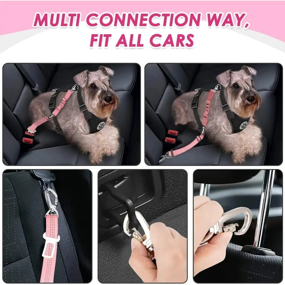 Harnais et Ceinture de Sécurité Voiture pour Chien