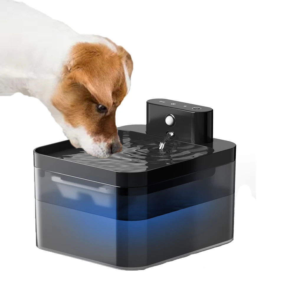 Fontaine à Eau Automatique pour Animaux - Distributeur Silencieux