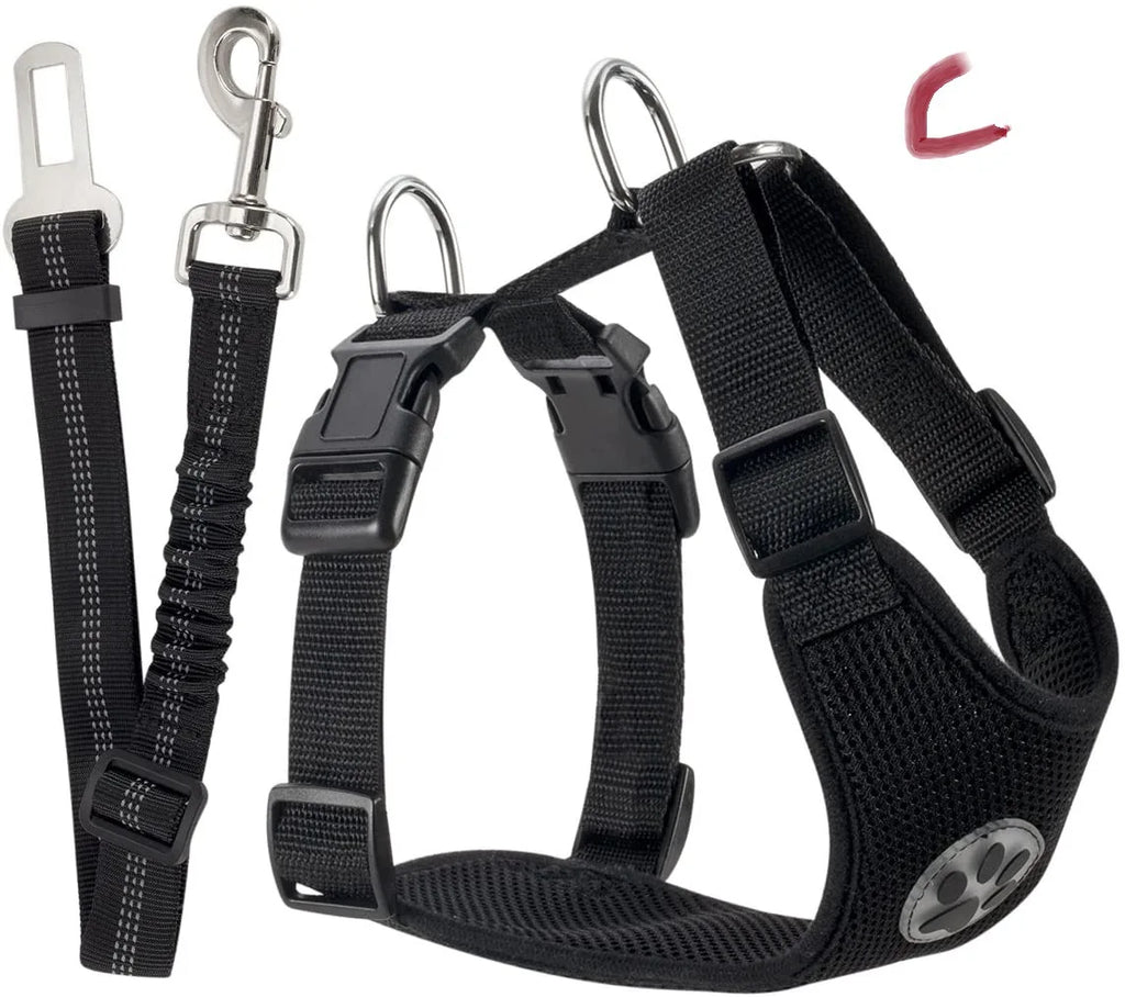Harnais et Ceinture de Sécurité Voiture pour Chien