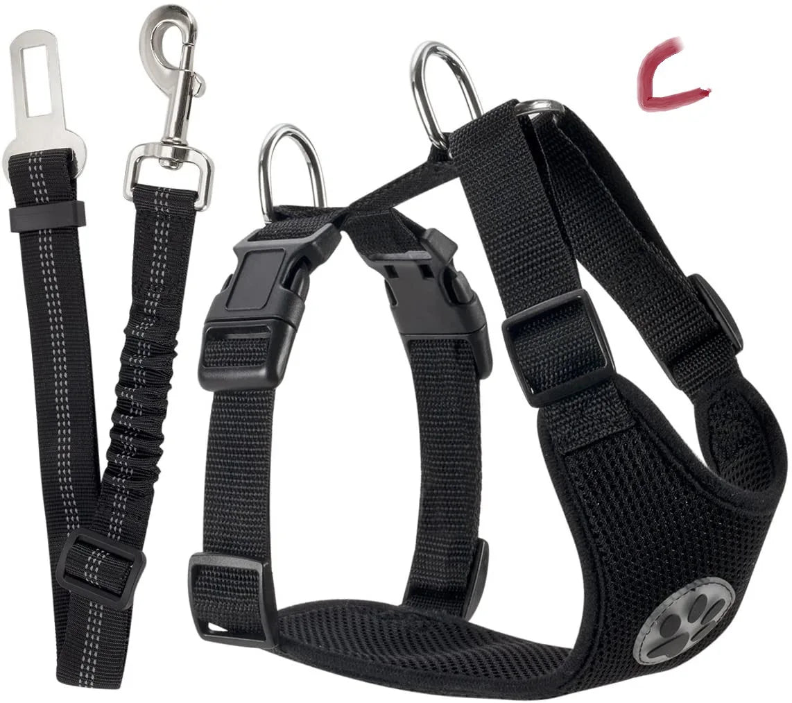 Harnais et Ceinture de Sécurité Voiture pour Chien