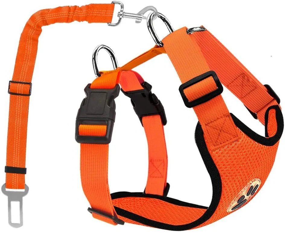 Harnais et Ceinture de Sécurité Voiture pour Chien