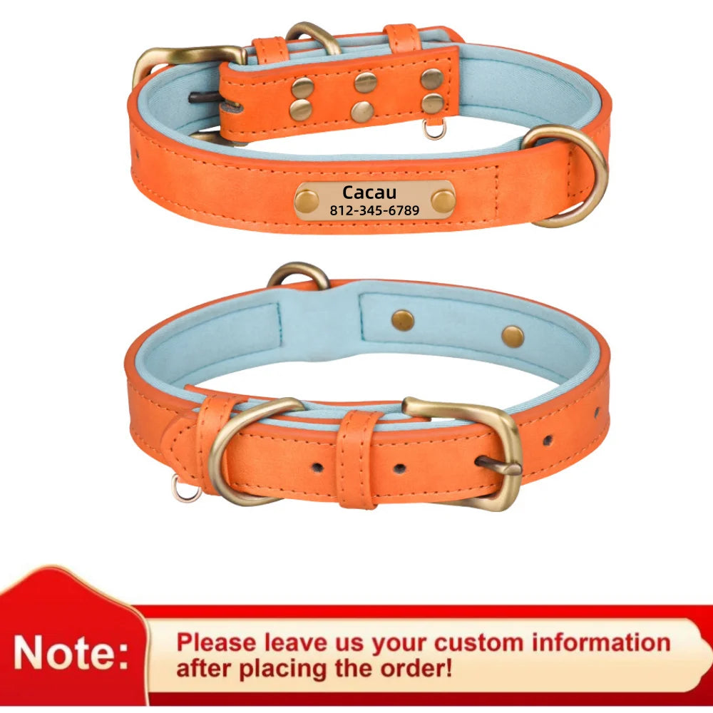 Collier pour Chien Personnalisé en Cuir - Plaque Gravée avec Nom et Numéro